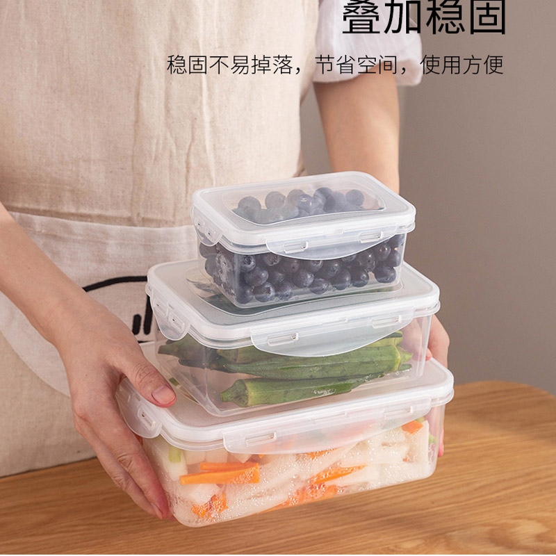 PP Bento Box Voedselcontainer  - Food And Snacks For Picnic recensie en prijs